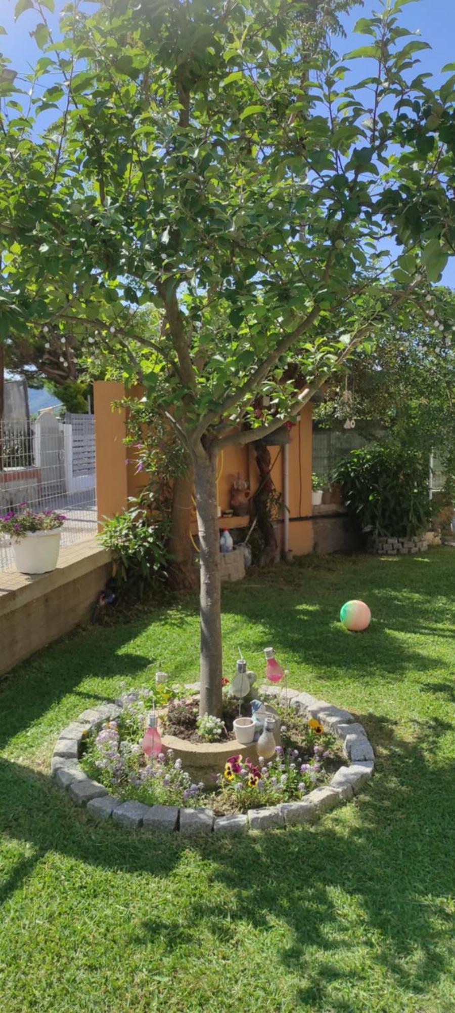Hébergement de vacances House Kallisti *